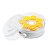 Fruit dehydrator