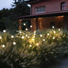 x2 Sets Solar Led Lights